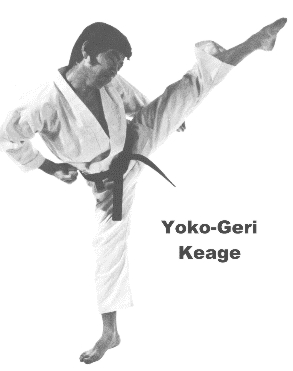 yoko-geri